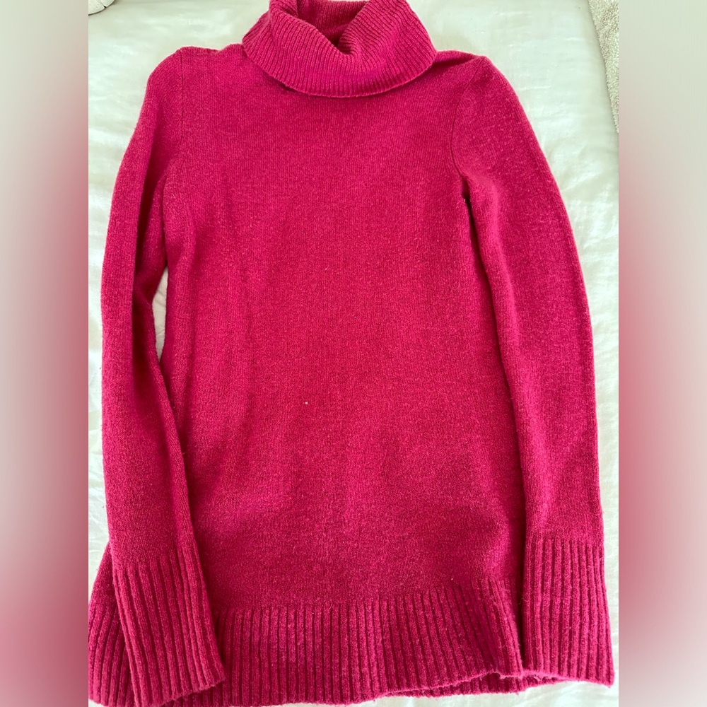 J.Crew wool turtleneck sweater